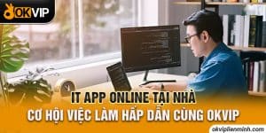 Tổng hợp các vị trí IT app online tại OKVIP