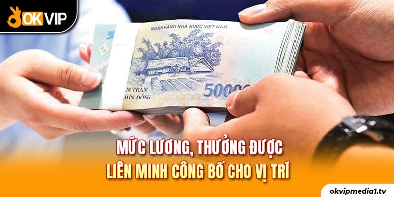 Mức lương, thưởng được liên minh công bố cho vị trí