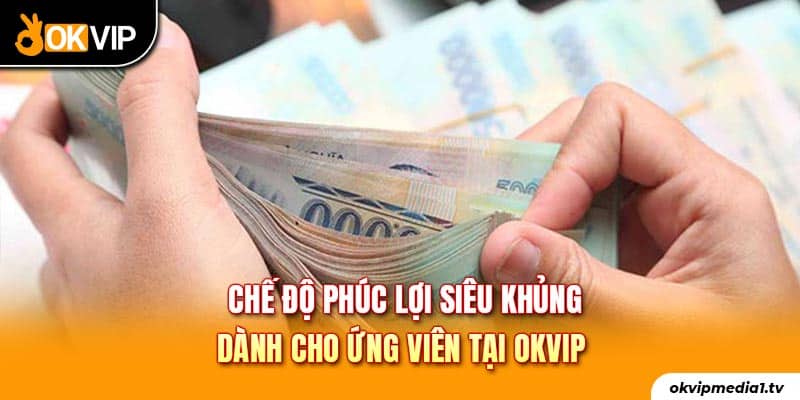 Chế độ phúc lợi siêu khủng dành cho ứng viên tại OKVIP